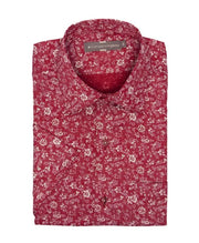 Camisa Sport Rochester Estampada en 2 Colores